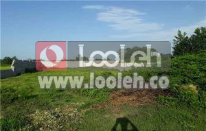 تعیین تکلیف زمین های واگذار شده بلا استفاده در انزلی